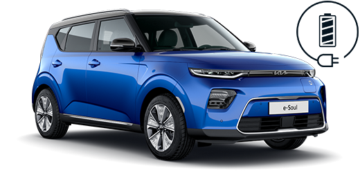 e-Soul